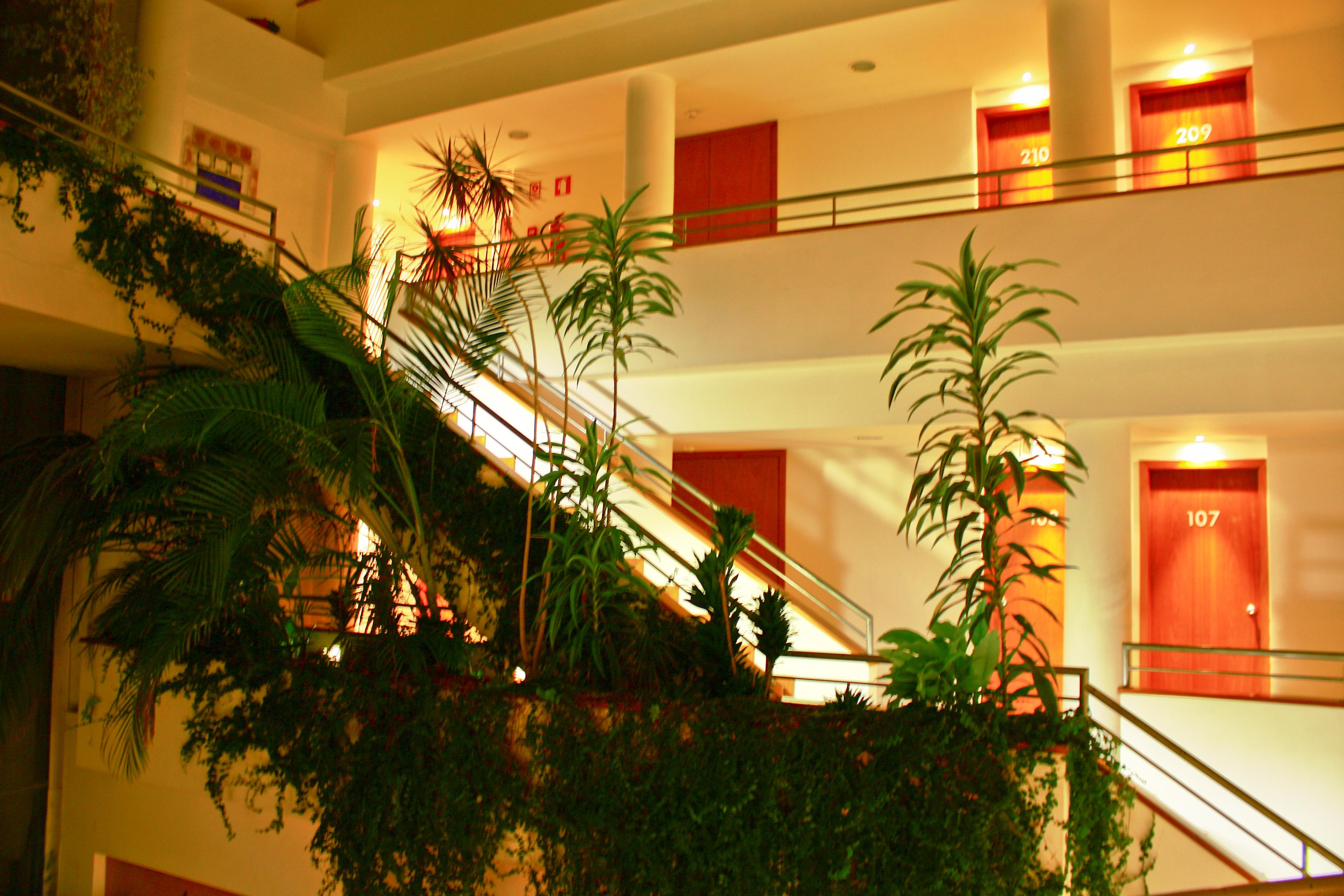 Hotel Das Taipas Guimarães Buitenkant foto